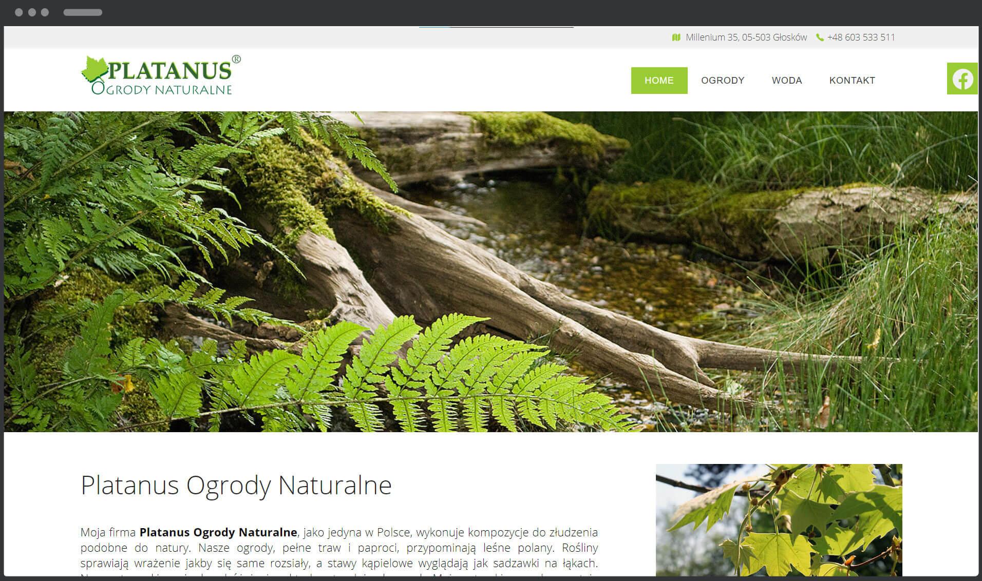 Strona internetowa architekta ogrodów - Ogrody Naturalne